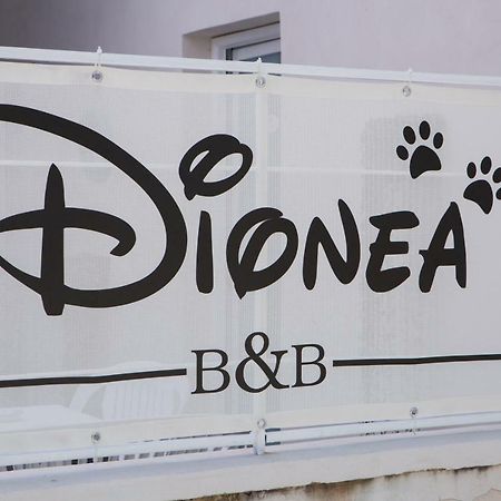 B&B Dionea Santa Maria di Castellabate Buitenkant foto