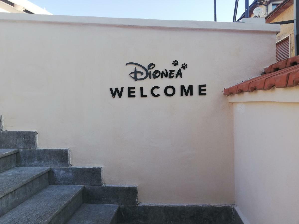 B&B Dionea Santa Maria di Castellabate Buitenkant foto